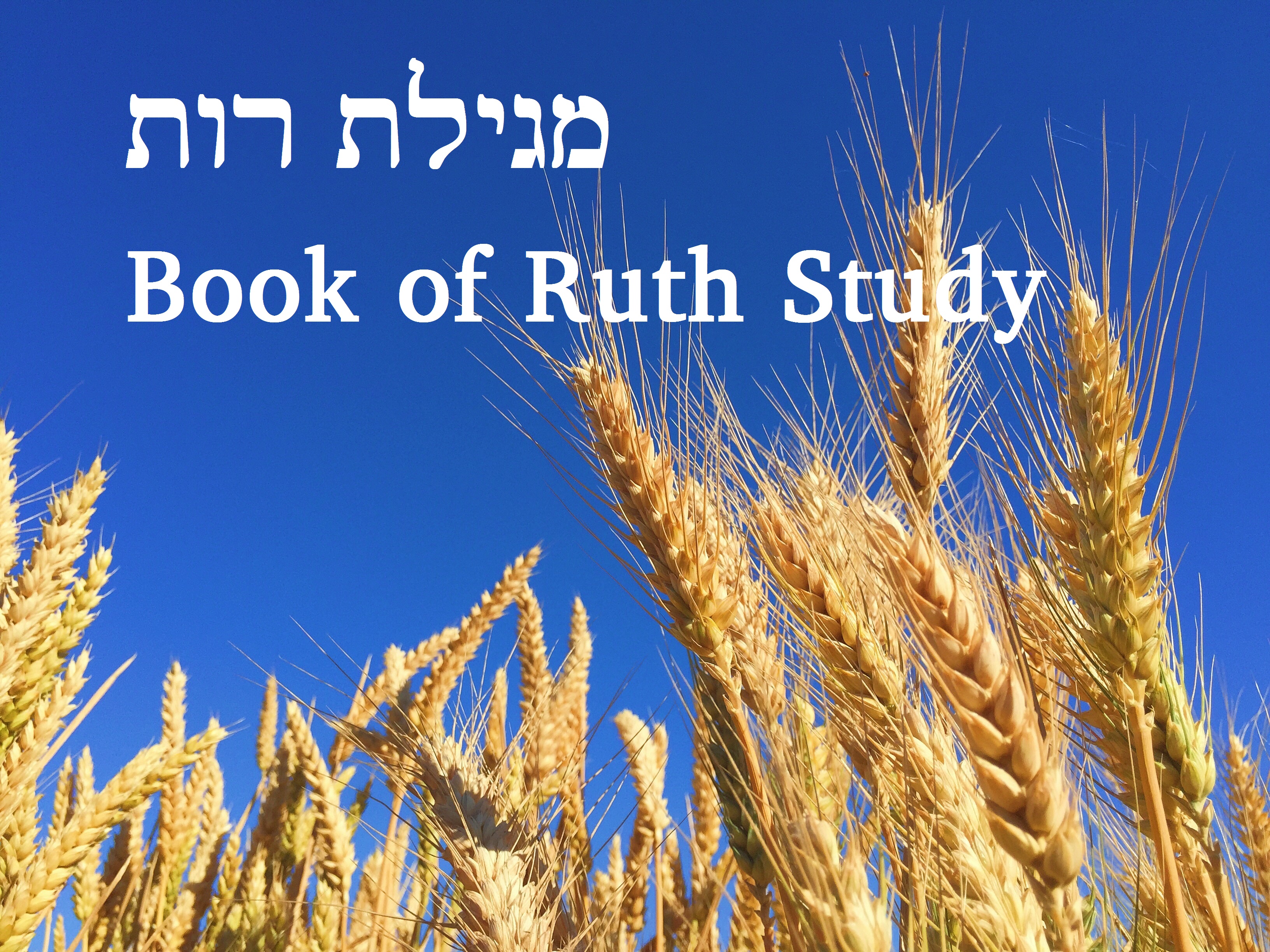 Book of Ruth Study - Beginning of Chapter 4 | Beth Immanuel Messianic ...