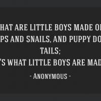 What are Little Boys Made Of